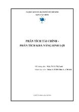 Phân tích tài chính - Phân tích khả năng sinh lợi