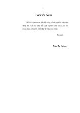 Tăng cường vai trò quản lý của Nhà nước đối với đất đai trong quá trình đô thị hoá ở thành phố Hà Nội
