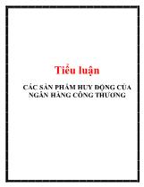 Tiểu luận Các sản phẩm huy động của ngân hàng công thương