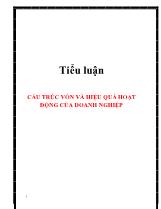 Tiểu luận Cấu trúc vốn và hiệu quả hoạt động của doanh nghiệp