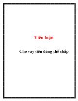 Tiểu luận Cho vay tiêu dùng thế chấp