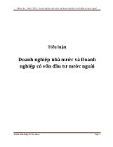 Tiểu luận Doanh nghiệp nhà nước và Doanh nghiệp có vốn đầu tư nước ngoài