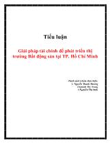 Tiểu luận Giải pháp tài chính để phát triển thị trường Bất động sản tại TP. Hồ Chí Minh