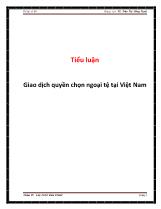 Tiểu luận Giao dịch quyền chọn ngoại tệ tại Việt Nam