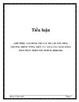 Tiểu luận Giới thiệu sản phẩm cho vay mua xe ôtô theo chương trình “công thức 1%” (f1%) của ngân hàng TMCP phát triển nhà Tp.Hồ Chí Minh (HDBank)