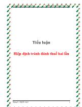 Tiểu luận Hiệp định tránh đánh thuế hai lần