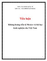 Tiểu luận Khủng hoảng tiền tệ Mexico và bài học kinh nghiệm cho Việt Nam
