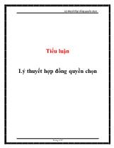 Tiểu luận Lý thuyết hợp đồng quyền chọn