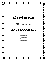 Tiểu luận môn :virus học Virus Paramyxo