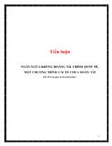 Tiểu luận Ngăn ngừa khủng hoảng tài chính quốc tế, một chương trình cải tổ chưa hoàn tất