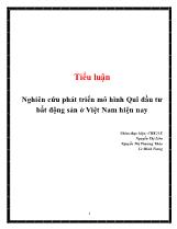 Tiểu luận Nghiên cứu phát triển mô hình Quĩ đầu tư bất động sản ở Việt Nam hiện nay