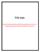 Tiểu luận Phân tích Ngân hàng Thương mại cổ phần Ngoại Thương Việt Nam (VCB), và Ngân hàng Thương mại cổ phần Công Thương Việt Nam (CTG)