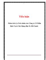 Tiểu luận Phân tích tỷ số tài chính của Công ty Cổ Phần Dịch Vụ & Xây Dựng Địa Ốc Đất Xanh