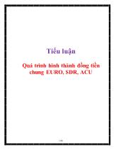 Tiểu luận Quá trình hình thành đồng tiền chung EURO, SDR, ACU