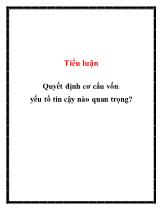 Tiểu luận Quyết định cơ cấu vốn: yếu tố tin cậy nào quan trọng?