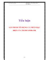 Tiểu luận Sản phẩm tín dụng cá nhân đặc biệt của Techcom Bank