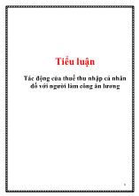 Tiểu luận Tác động của thuế thu nhập cá nhân đố với người làm công ăn lương