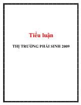 Tiểu luận Thị trường phái sinh 2009