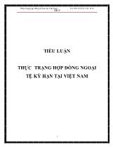 Tiểu luận Thực trạng hợp đồng ngoại tệ kỳ hạn tại Việt Nam