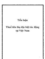 Tiểu luận Thuế tiêu thụ đặc biệt tác động tại Việt Nam