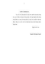 Tin học hoá quá trình quản lý hồ sơ tư vấn cho các công ty tư vấn Bộ Xây dựng