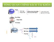 Tổng quan chính sách tài khóa