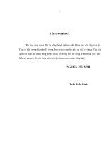 Vai trò của nhà nước trong quá trình công nghiệp hoá hướng về xuất khẩu của Malaixia - Kinh nghiệm và khả năng vận dụng vào Việt Nam
