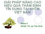 Giải pháp nâng cao hiệu quả thẩm định tín dụng tại NHTM Việt Nam