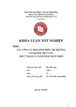 Khóa luận Các công cụ phái sinh trên thị trường ngoại hối Việt Nam - Thực trạng và giải pháp phát triển