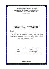 Khóa luận Cổ phần hóa ngân hàng ngoại thương Việt Nam (VCB): Kinh nghiệm cho các ngân hàng thương mại Nhà nước