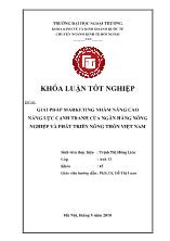 Khóa luận Giải pháp Marketing nhằm nâng cao năng lực cạnh tranh của ngân hàng nông nghiệp và phát triển nông thôn Việt Nam