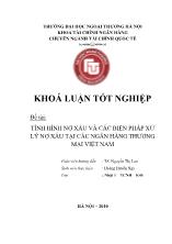 Khóa luận Tình hình nợ xấu và các biện pháp xử lý nợ xấu tại các ngân hàng thương mại Việt Nam