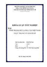 Khóa luận Tình trạng đô la hóa tại Việt Nam - Thực trạng và giải pháp