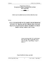 Tiểu luận Các giải pháp để hoàn thiện thẩm định dự án đầu tư trong quyết định cho vay dài hạn của ngân hàng nông nghiệp và phát triển nông thôn Việt Nam