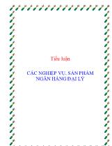 Tiểu luận Các nghiệp vụ, sản phẩm ngân hàng đại lý