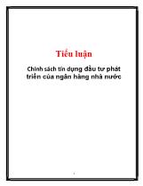 Tiểu luận Chính sách tín dụng đầu tư phát triển của ngân hàng nhà nước