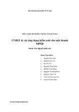 Tiểu luận COBIT & các ứng dụng kiểm soát cho một doanh nghiệp