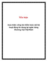 Tiểu luận Hoàn thiện công tác kiểm toán nội bộ hoạt động tín dụng tại ngân hàng thương mại Việt Nam