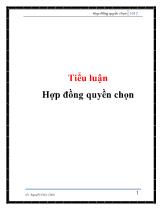 Tiểu luận Hợp đồng quyền chọn