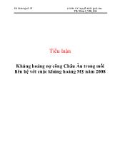 Tiểu luận Khủng hoảng nợ công Châu Âu trong mối liên hệ với cuộc khủng hoảng Mỹ năm 2008