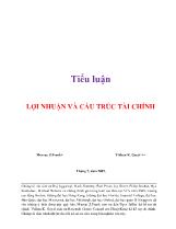 Tiểu luận Lợi nhuận và cấu trúc tài chính