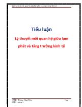 Tiểu luận Lý thuyết mối quan hệ giữa lạm phát và tăng trưởng kinh tế