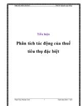 Tiểu luận Phân tích tác động của thuế tiêu thụ đặc biệt