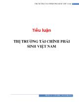 Tiểu luận Thị trường tài chính phái sinh Việt Nam