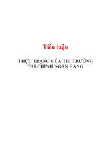 Tiểu luận Thực trạng của thị trường tài chính ngân hàng