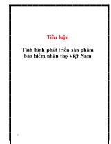 Tiểu luận Tình hình phát triển sản phẩm bảo hiểm nhân thọ Việt Nam