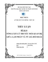 Tiểu luận Tóm lượt lý thuyết mối quan hệ giữa lạm phát và tỷ giá hối đoái