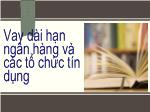 Vay dài hạn ngân hàng và các tổ chức tín dụng