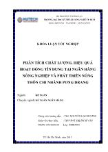 Khóa luận Phân tích chất lượng, hiệu quả hoạt động tín dụng tại ngân hàng nông nghiệp và phát triển nông thôn chi nhánh Pơng Drang