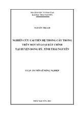 Luận án Nghiên cứu cải tiến hệ thống cây trồng trên một số loại đất chính tại huyện Đồng Hỷ, tỉnh Thái Nguyên